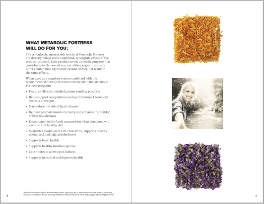 Screen Shot 2017-10-10 at 3.57.26 PM