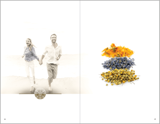 Screen Shot 2017-10-10 at 3.58.01 PM