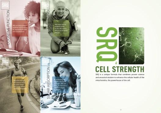 121919ef_Magazine for website15